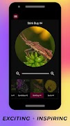 Insects Under Microscope スクリーンショット 7