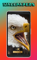 cool Summer Fruit Live Wallpaper Berry Wallpapers screenshot 3