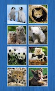 Animals Slide Puzzles screenshot 3