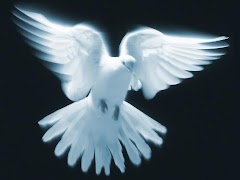 Espiritu Santo captura de pantalla 7