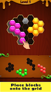 Hex Block Puzzles পোস্টার