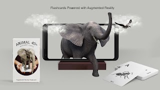 Animal 4D+ постер