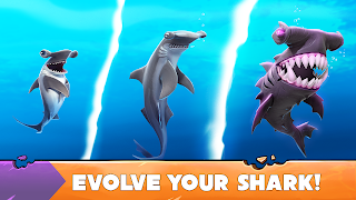 Hungry Shark Evolution capture d'écran 3