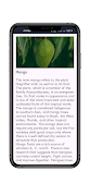About Fruits screenshot 1