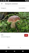 aishroom data screenshot 1