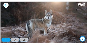 Fancy Animals ảnh chụp màn hình 1