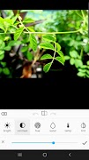 Photo Editor Lab screenshot 3