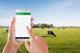 top silo capture d'écran 1