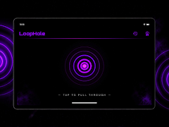 LoopHole screenshot 2