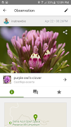 iNaturalist poster