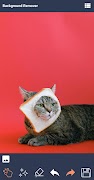 Background Remover imagem de tela 2