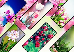 Flower Wallpapers poster