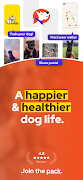 Dogs スクリーンショット 6