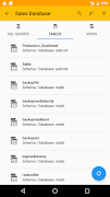 SQL Client 截图 3