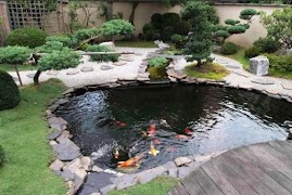 Fish Pond screenshot 6