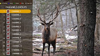 1 Schermata Elk Player