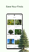 برنامه‌نما Tree Identifier: Plant & Leaf عکس از صفحه