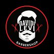 Davidi Levi icon