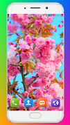 Spring Wallpaper HD 스크린샷 7