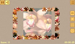 برنامه‌نما Jigsaw Puzzles عکس از صفحه
