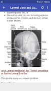 Skull Radiographic Positioning screenshot 5