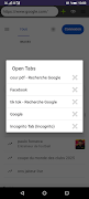 Wolf Browser screenshot 6