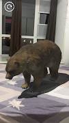 AR Animals screenshot 5