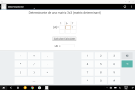 Determinante captura de pantalla 5