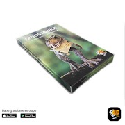 برنامه‌نما 4Dmais عکس از صفحه