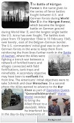 World War II screenshot 1