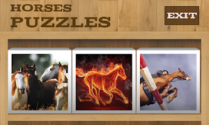 Horses Puzzles screenshot 1