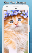 Cat Sounds Ringtone ภาพหน้าจอ 2