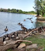 General Game Call screenshot 1