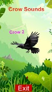 Real Crow Sounds 3D Simulator スクリーンショット 2
