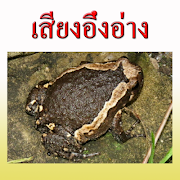 Bullfrog голос постер