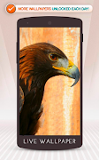 Adler Screenshot 7