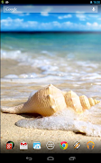 4 Schermata Magic Touch: Sea Shell Live Wa