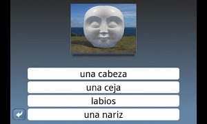 NounStar Language Study Screenshot 4