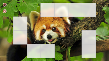 Meet animals: matching game! screenshot 6