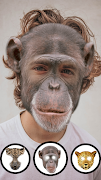 動物フェイスカメラ スクリーンショット 3