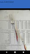 Fork Detector постер