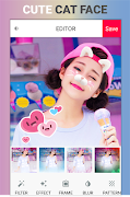 Cat Face پوسٹر