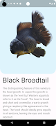 Goldfish Gallery screenshot 1