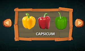 Vegetable Names screenshot 3
