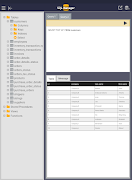 SQL Manager poster