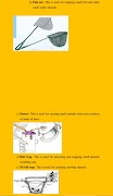 1 Schermata Biology Notes