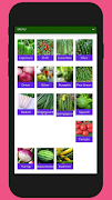 SuttindSeeds 스크린샷 1
