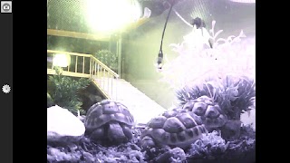 IP Camera Dashboard Screenshot 3