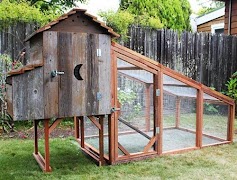 پوستر Chicken House Design