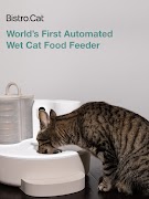 Bistrocat ảnh chụp màn hình 5